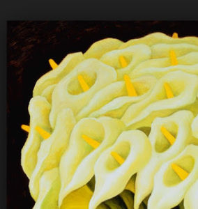 Meet your Posher, Jade